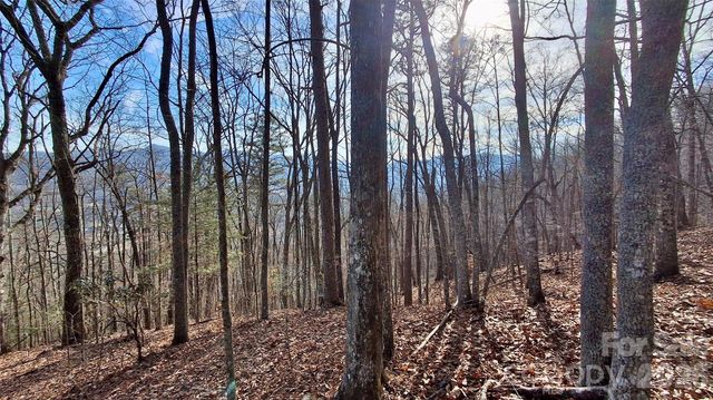 0 Briarwood Road, Webster, NC 28788