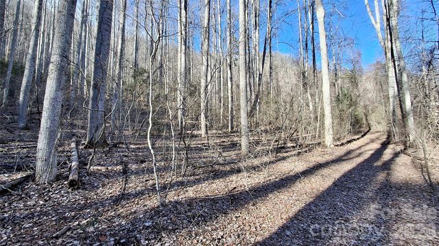 0 Briarwood Road, Webster, NC 28788