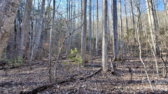 0 Briarwood Road, Webster, NC 28788