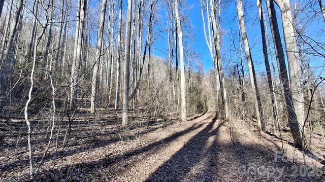 0 Briarwood Road, Webster, NC 28788