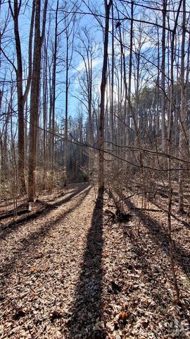 0 Briarwood Road, Webster, NC 28788