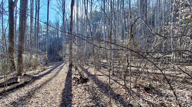 0 Briarwood Road, Webster, NC 28788