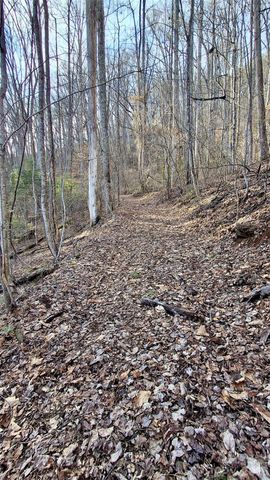 0 Briarwood Road, Webster, NC 28788