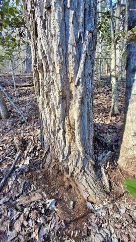 0 Briarwood Road, Webster, NC 28788