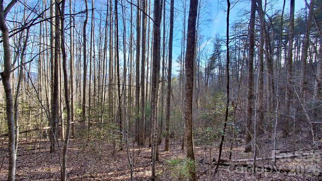 0 Briarwood Road, Webster, NC 28788