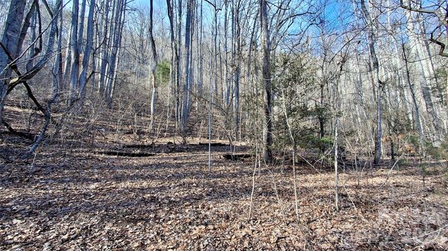 0 Briarwood Road, Webster, NC 28788