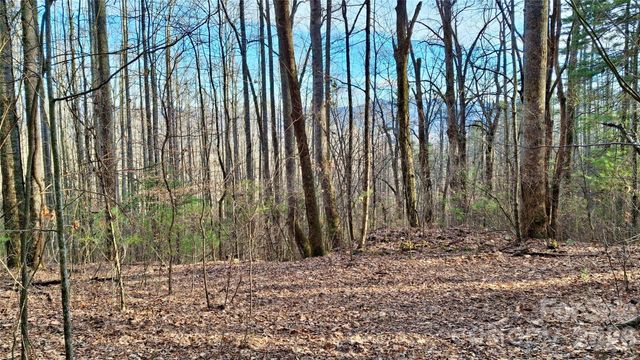 0 Briarwood Road, Webster, NC 28788