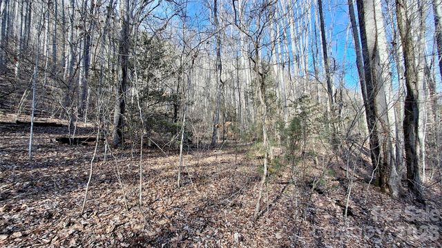 0 Briarwood Road, Webster, NC 28788