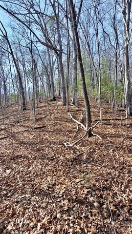 0 Briarwood Road, Webster, NC 28788