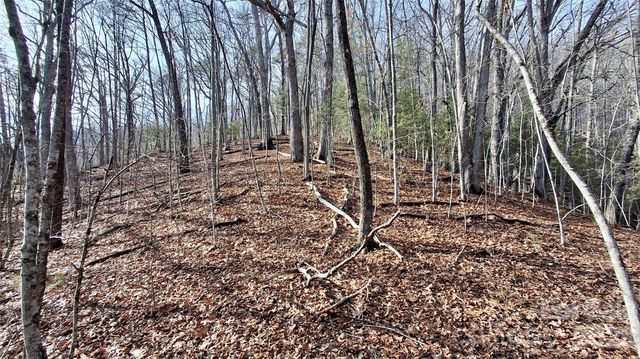 0 Briarwood Road, Webster, NC 28788