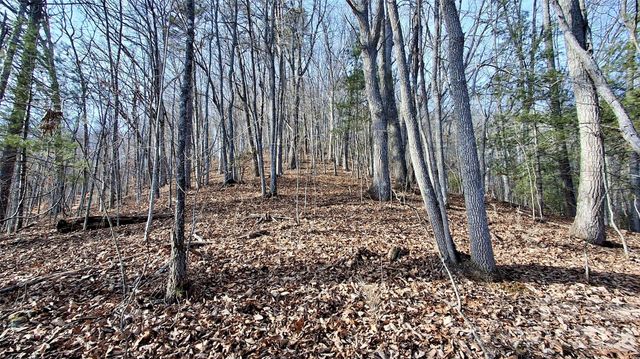 0 Briarwood Road, Webster, NC 28788