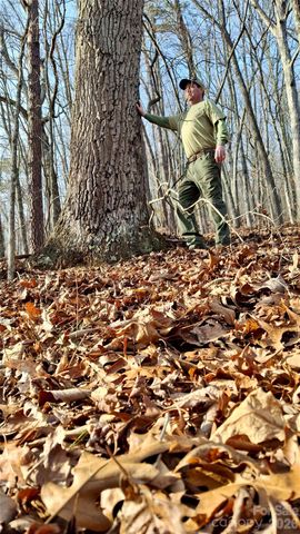 0 Briarwood Road, Webster, NC 28788