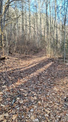 0 Briarwood Road, Webster, NC 28788