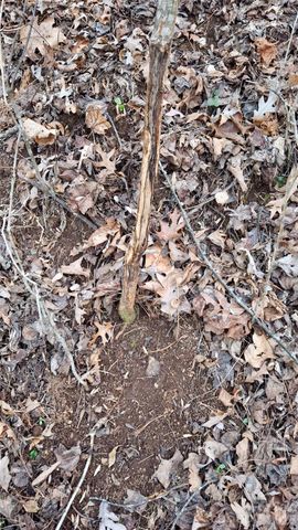 0 Briarwood Road, Webster, NC 28788