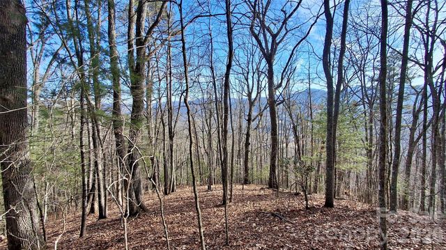 0 Briarwood Road, Webster, NC 28788