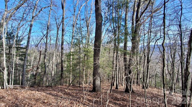 0 Briarwood Road, Webster, NC 28788