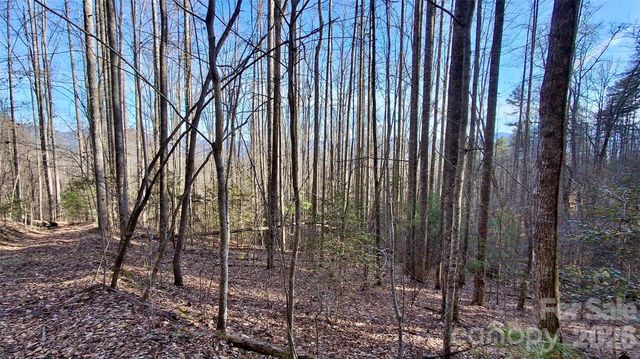 0 Briarwood Road, Webster, NC 28788