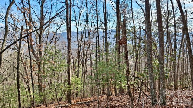 0 Briarwood Road, Webster, NC 28788