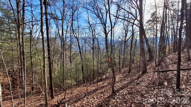 0 Briarwood Road, Webster, NC 28788