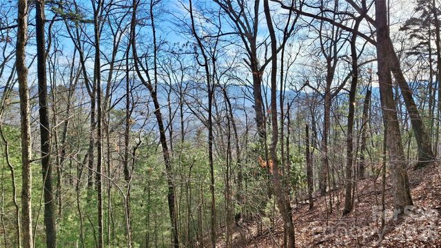 0 Briarwood Road, Webster, NC 28788