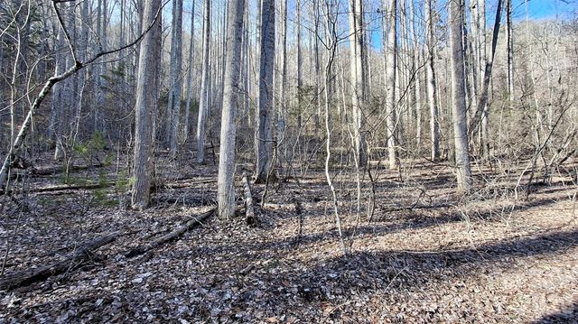 0 Briarwood Road, Webster, NC 28788