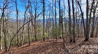 0 Briarwood Road, Webster, NC 28788