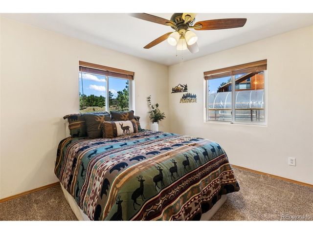 34 Fetlock Cir, Florissant, CO 80816