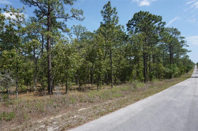 TBD NW TREE TOP ROAD, Dunnellon, FL 34431