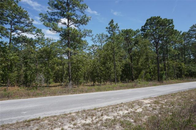 TBD NW TREE TOP ROAD, Dunnellon, FL 34431