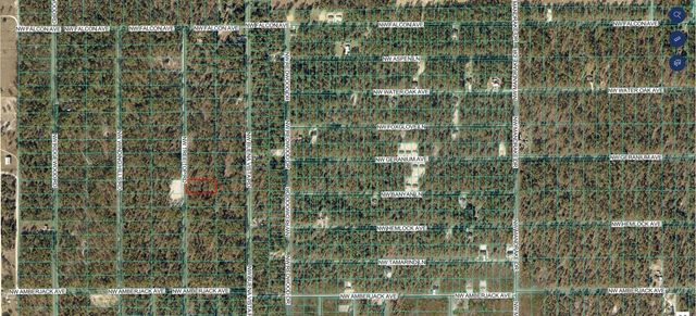 TBD NW TREE TOP ROAD, Dunnellon, FL 34431