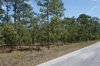 TBD NW TREE TOP ROAD, Dunnellon, FL 34431