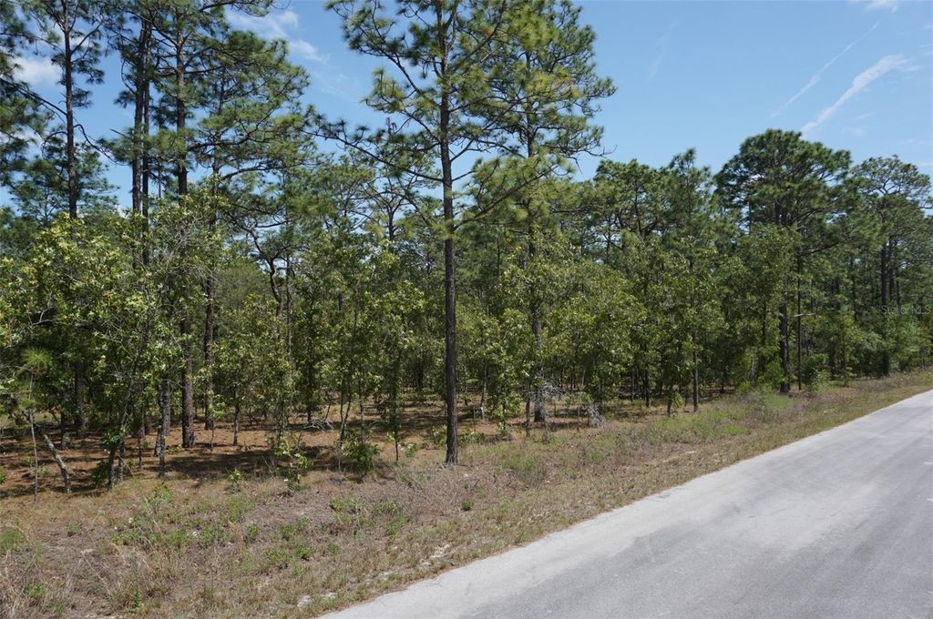 TBD NW TREE TOP ROAD, Dunnellon, FL 34431