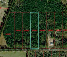 900 County Road 301 N, Dayton, TX 77535