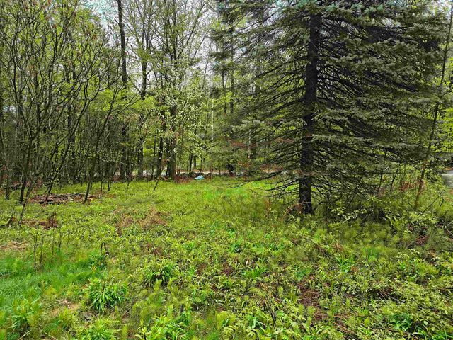 106 Waldron Hill Road, Warner, NH 03278