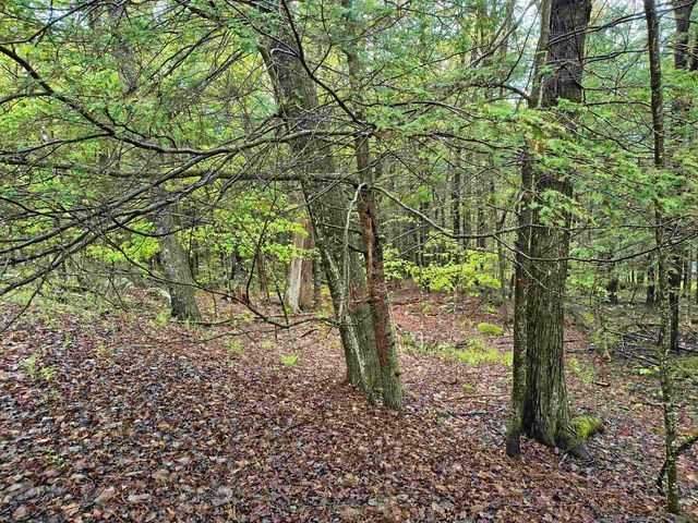 106 Waldron Hill Road, Warner, NH 03278