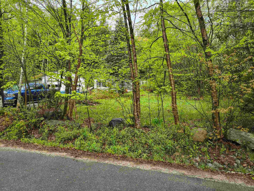 106 Waldron Hill Road, Warner, NH 03278