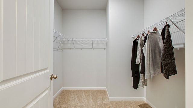 8136 Jude Drive, White House, TN 37188