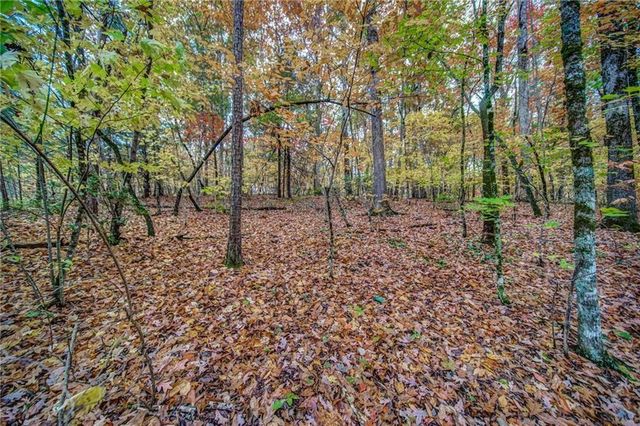 543 Cove Lake Drive, Marble Hill, GA 30148