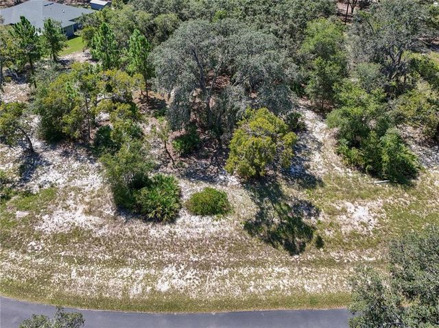 3134 BRIGHT LAKE CIRCLE, Leesburg, FL 34748