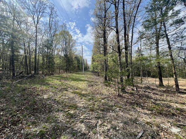 155 Lake Terrace Road, Kissee Mills, MO 65680