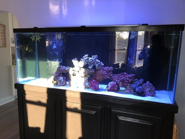 17917 Lorenz Avenue, Lansing, IL 60438