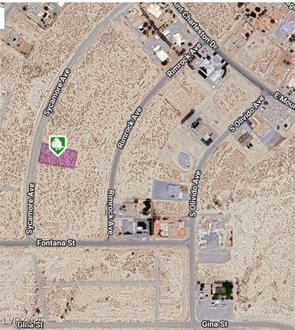 2581 South Sycamore Avenue, Pahrump, NV 89048