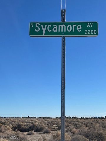 2581 South Sycamore Avenue, Pahrump, NV 89048