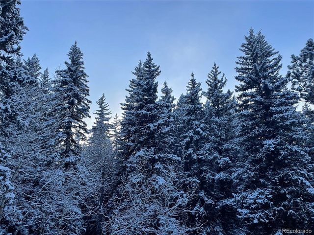 32217 Buffalo Park Rd, Evergreen, CO 80439