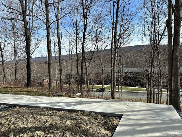 20 Peddler Hill 2002, Monroe, NY 10914