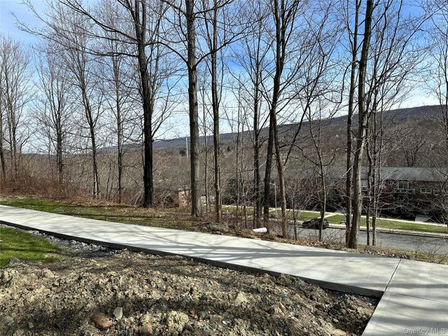 20 Peddler Hill 2002, Monroe, NY 10914