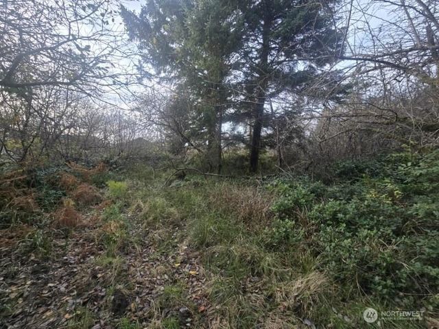 570 NE Puffin Avenue, Ocean Shores, WA 98569