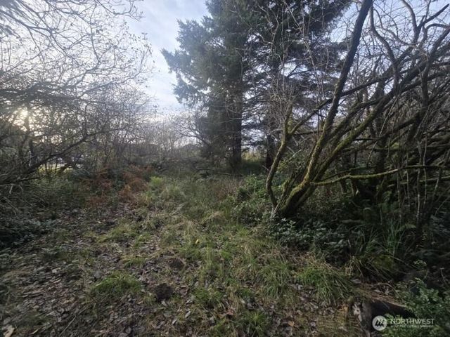 570 NE Puffin Avenue, Ocean Shores, WA 98569