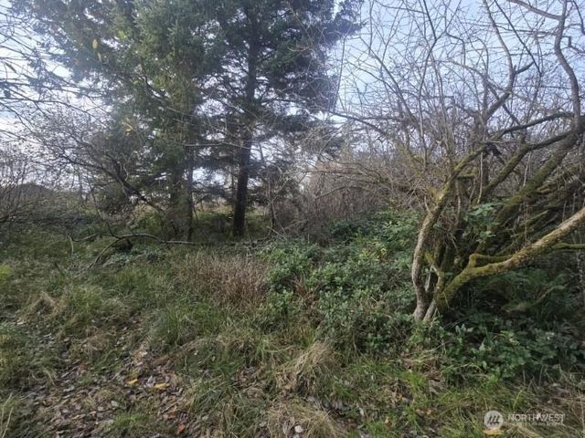 570 NE Puffin Avenue, Ocean Shores, WA 98569