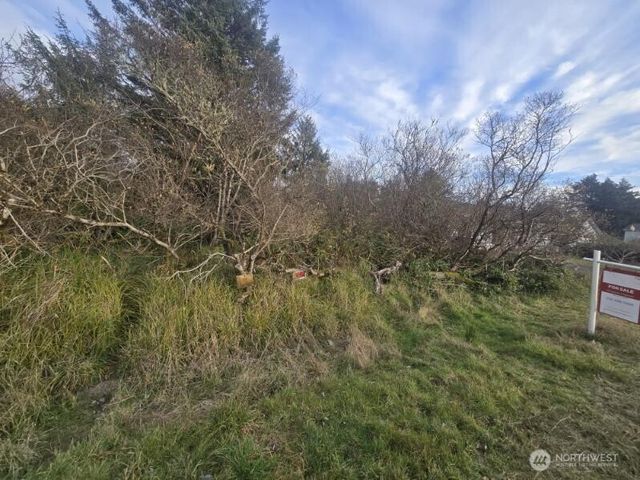 570 NE Puffin Avenue, Ocean Shores, WA 98569